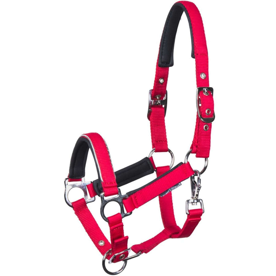 Harry's Horse Foal Halter Metal Barberry