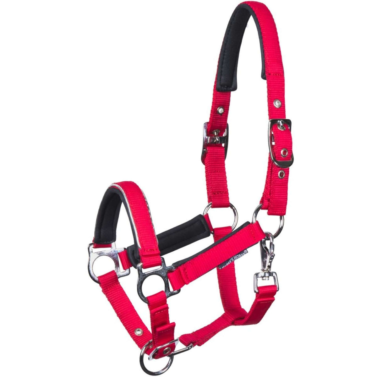 Harry's Horse Foal Halter Metal Barberry