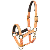 Harry's Horse Foal Halter Metal Cadmium Orange