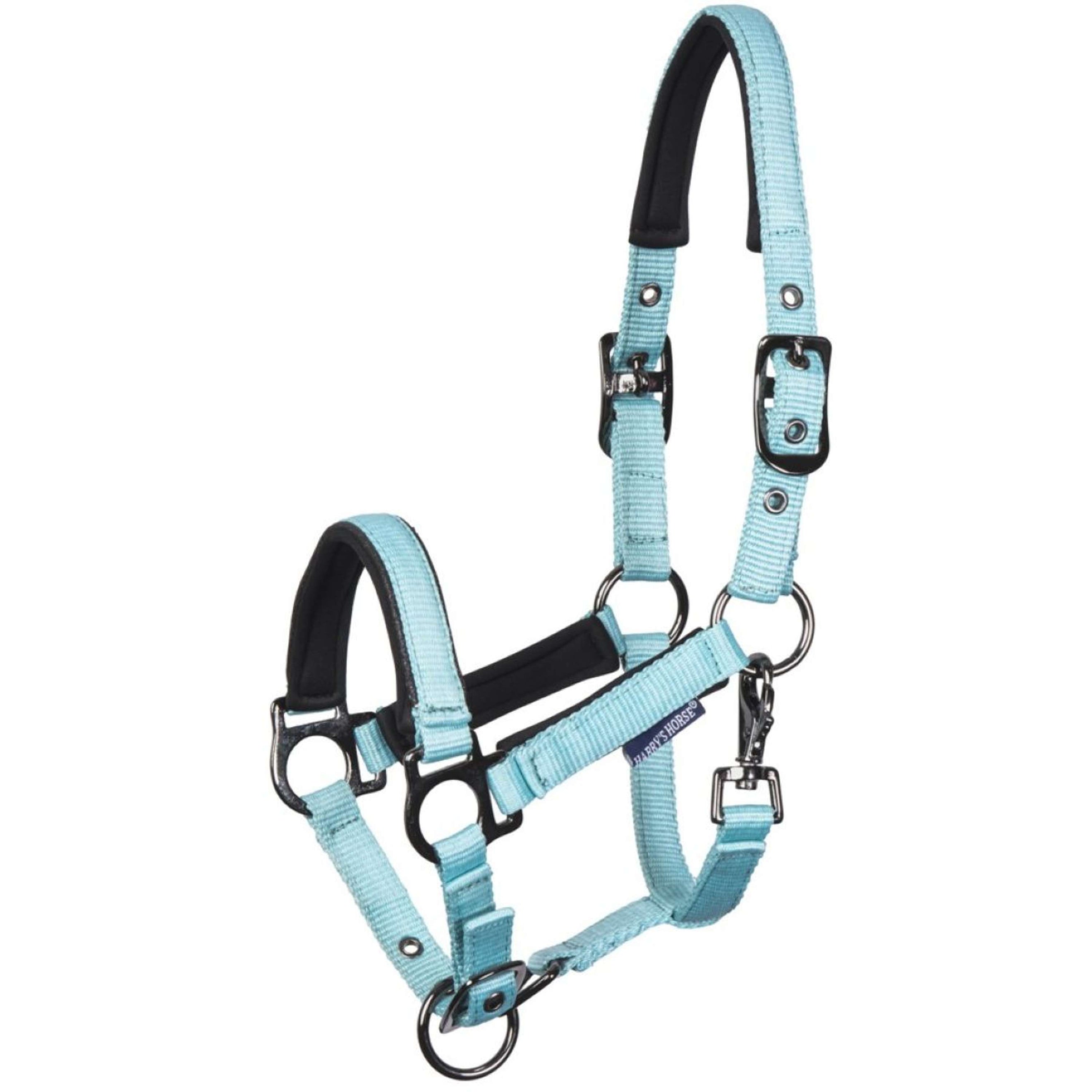 Harry's Horse Foal Halter Metal Pastel Turquoise