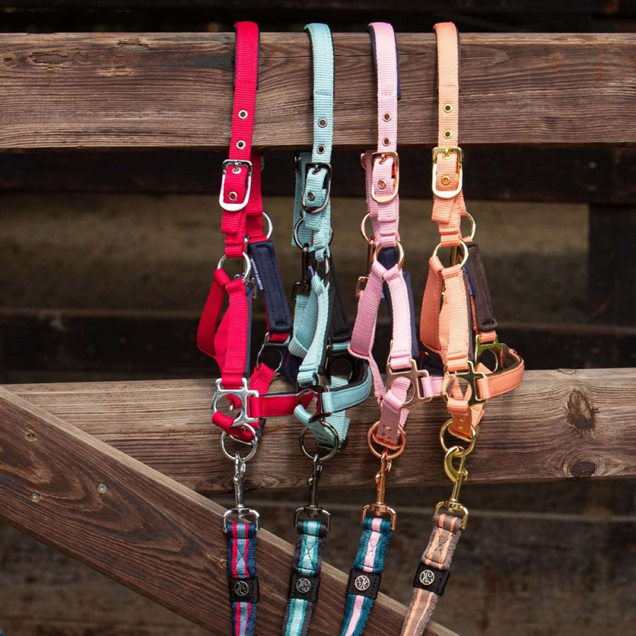 Harry's Horse Foal Halter Metal Barberry