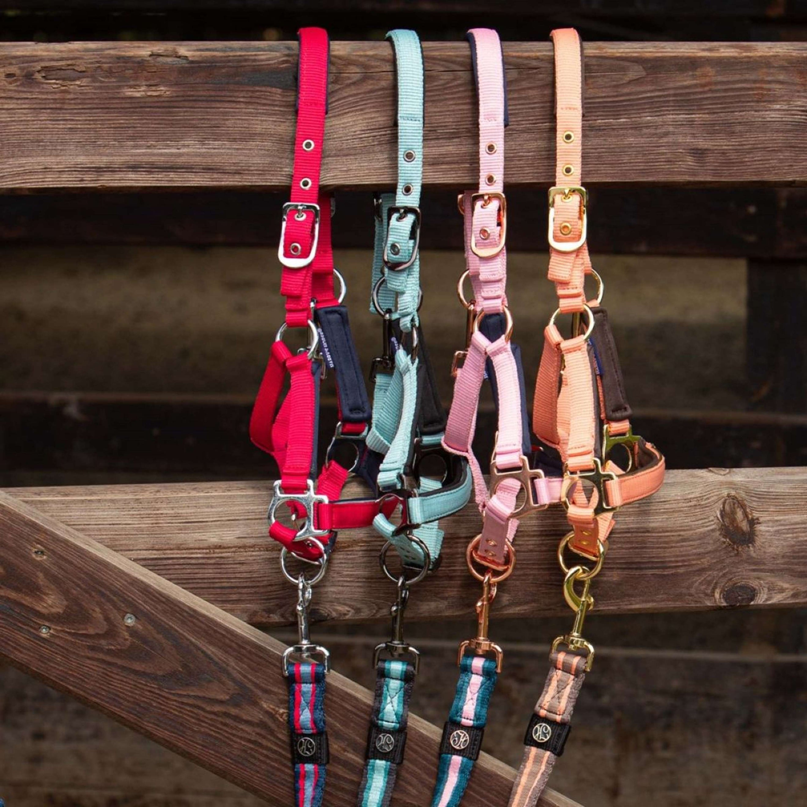 Harry's Horse Foal Halter Metal Cadmium Orange Harry's Horse Foal Halter Metal Cadmium Orange