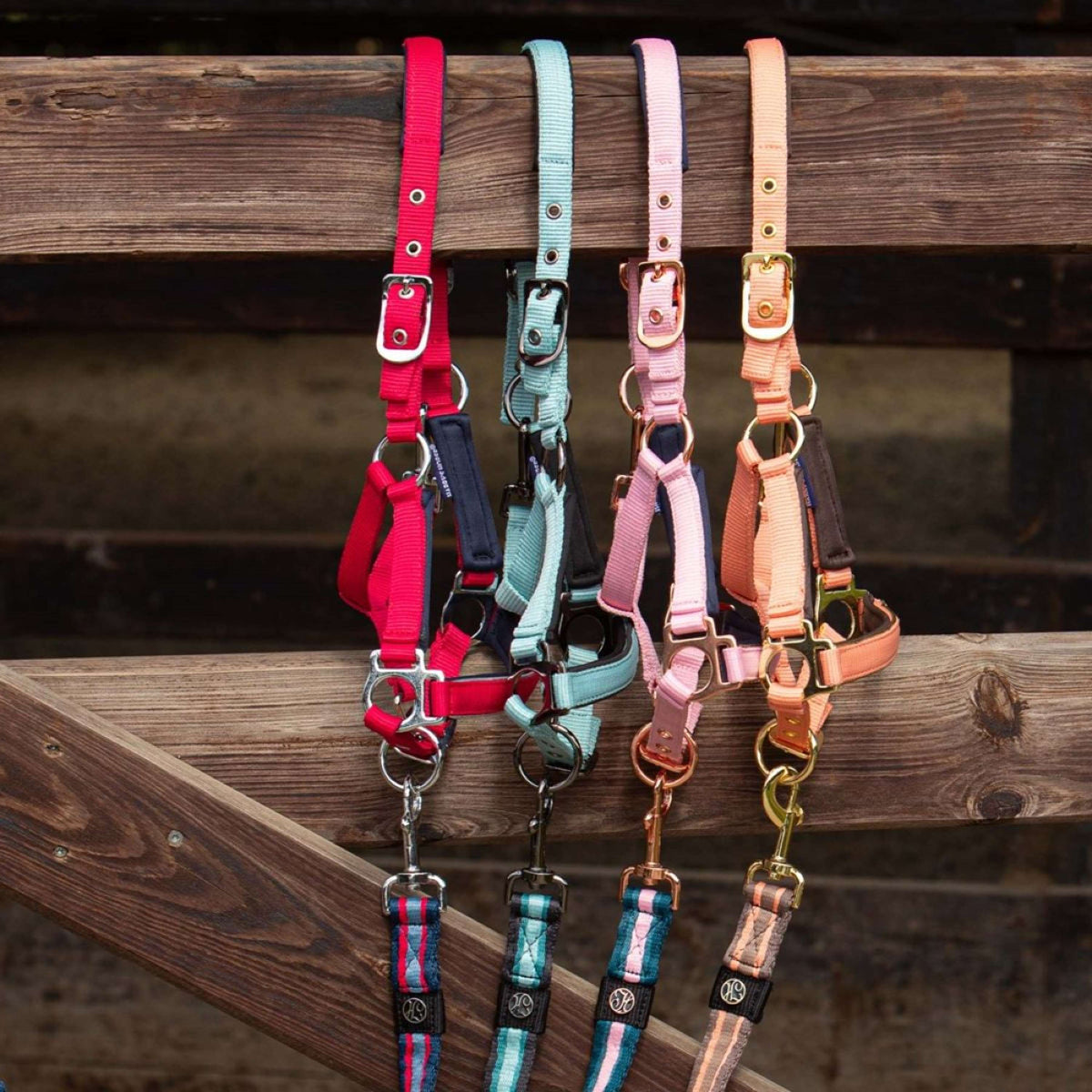 Harry's Horse Foal Halter Metal Cadmium Orange