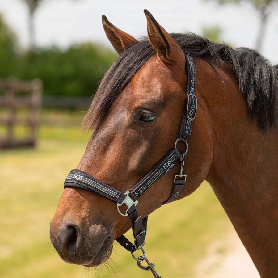 Harry's Horse Head Collar Set Equestrian Society Black Sand