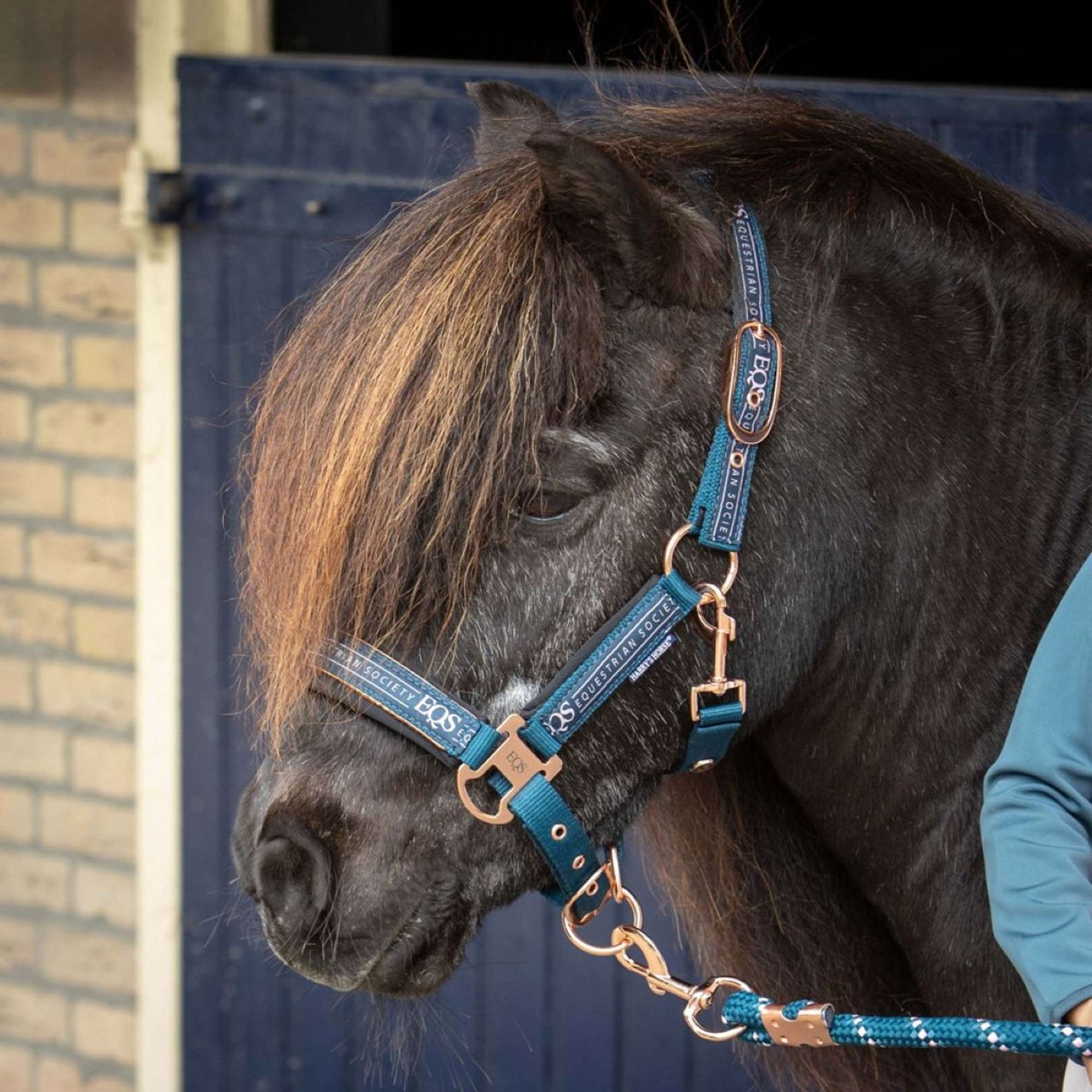 Harry's Horse Head Collar Set Equestrian Society Moonlit Ocean
