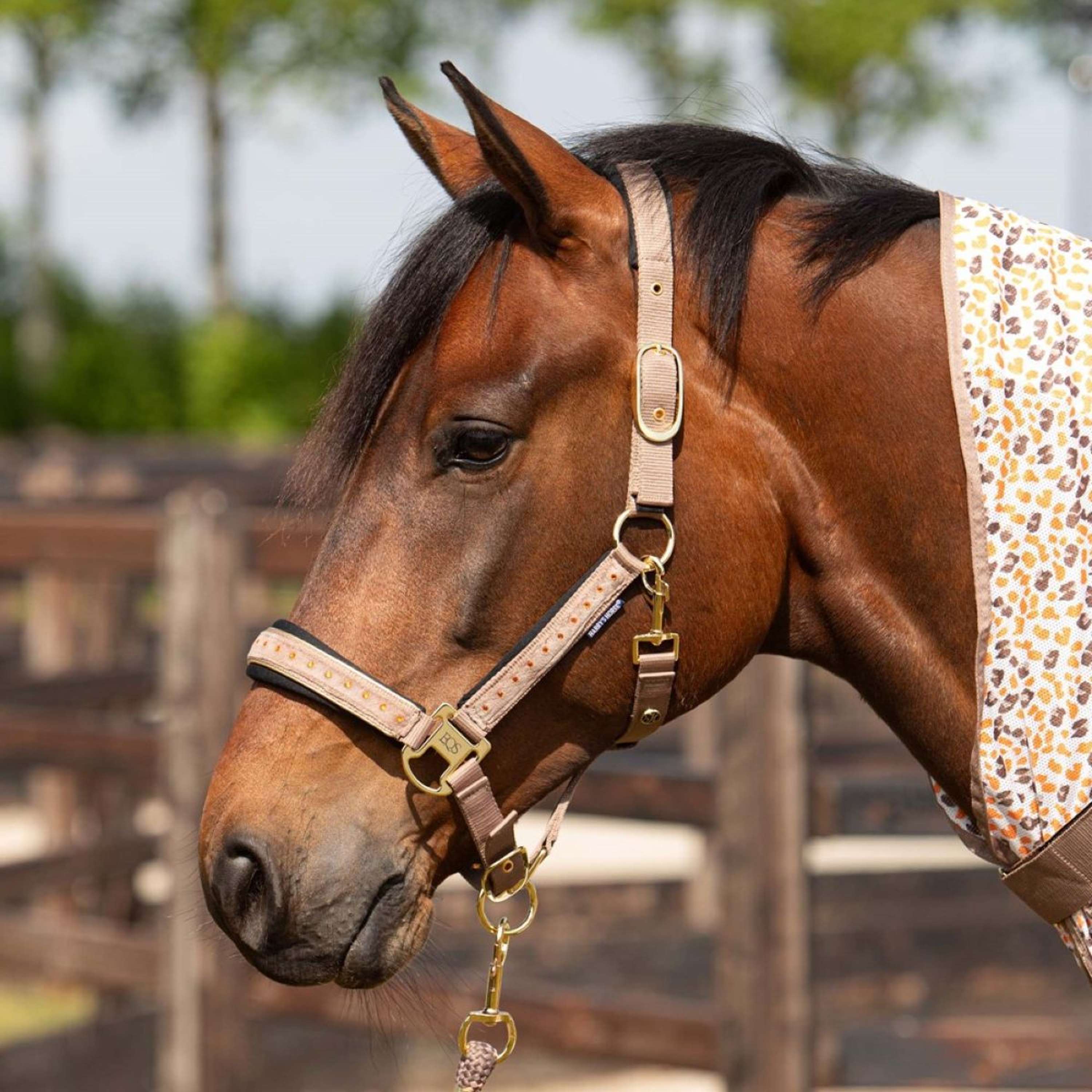 Harry's Horse Halter Set Crystal Taupe Grey