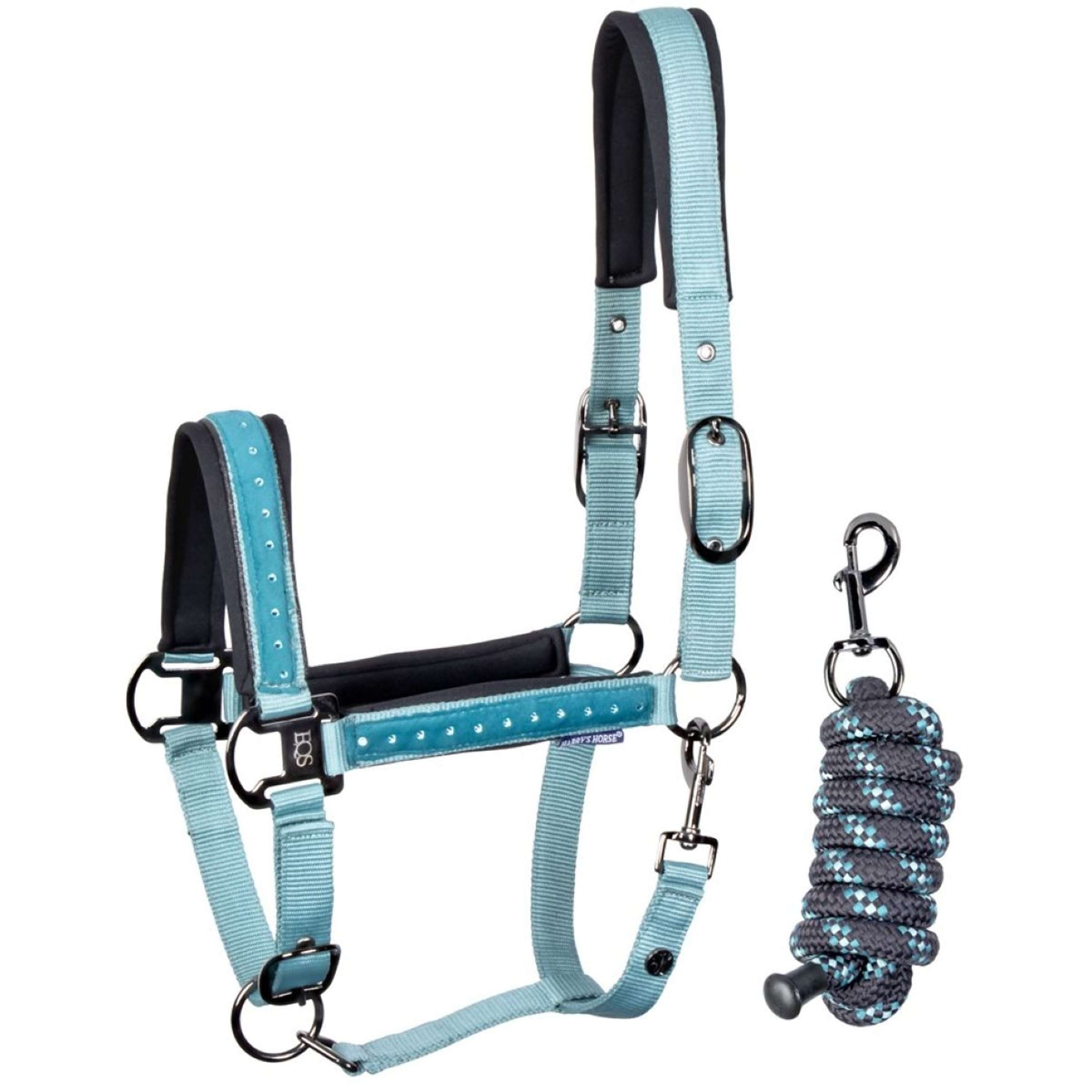 Harry's Horse Halter Set Crystal Teal