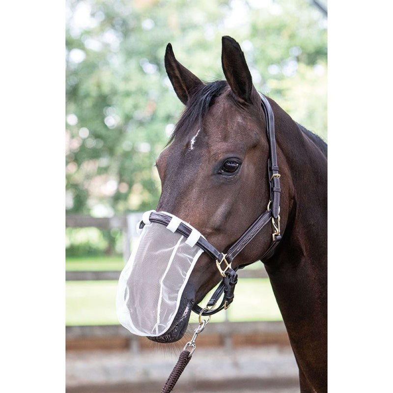 Harry's Horse Nose Net White