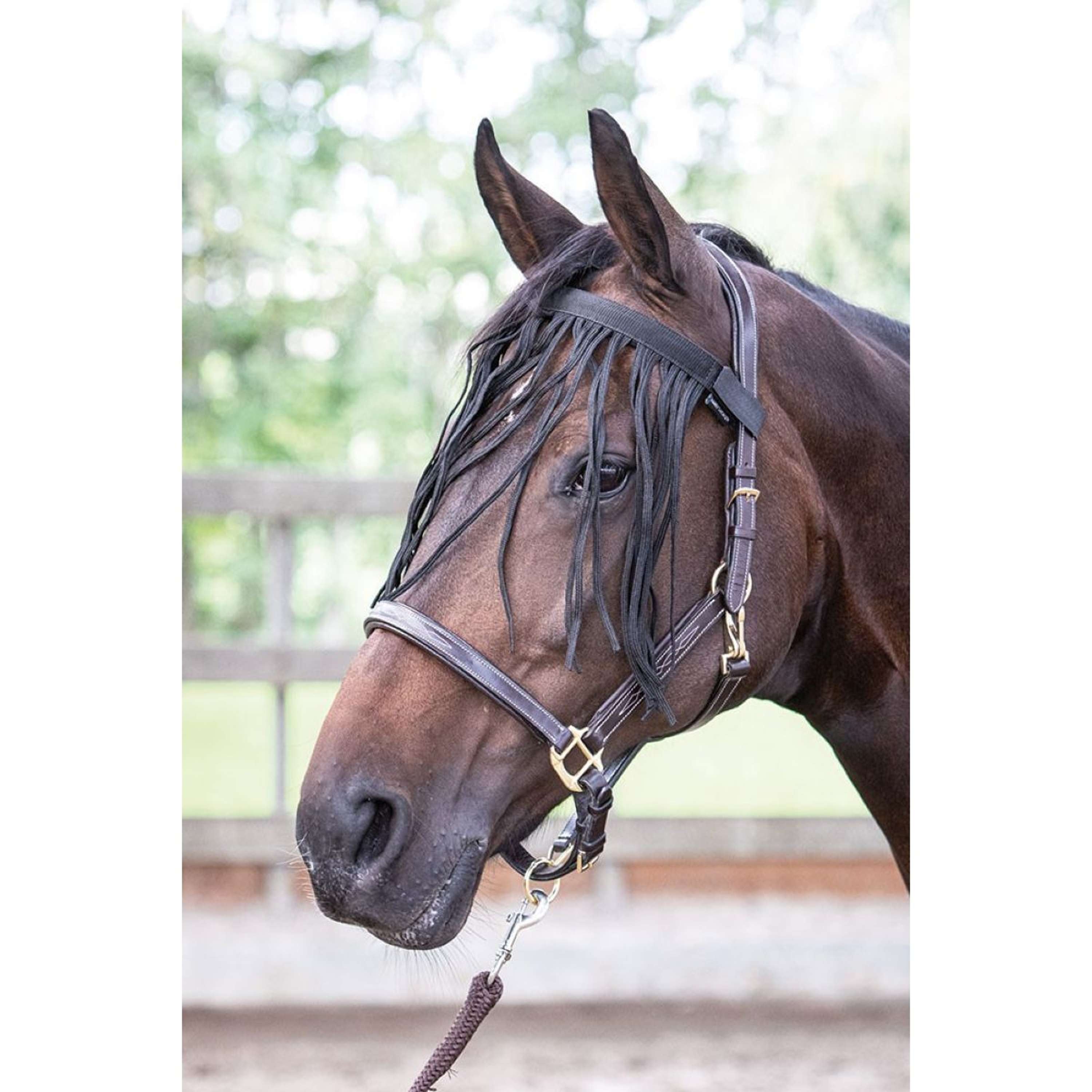 Harry's Horse FlyFringe with Fringes Black