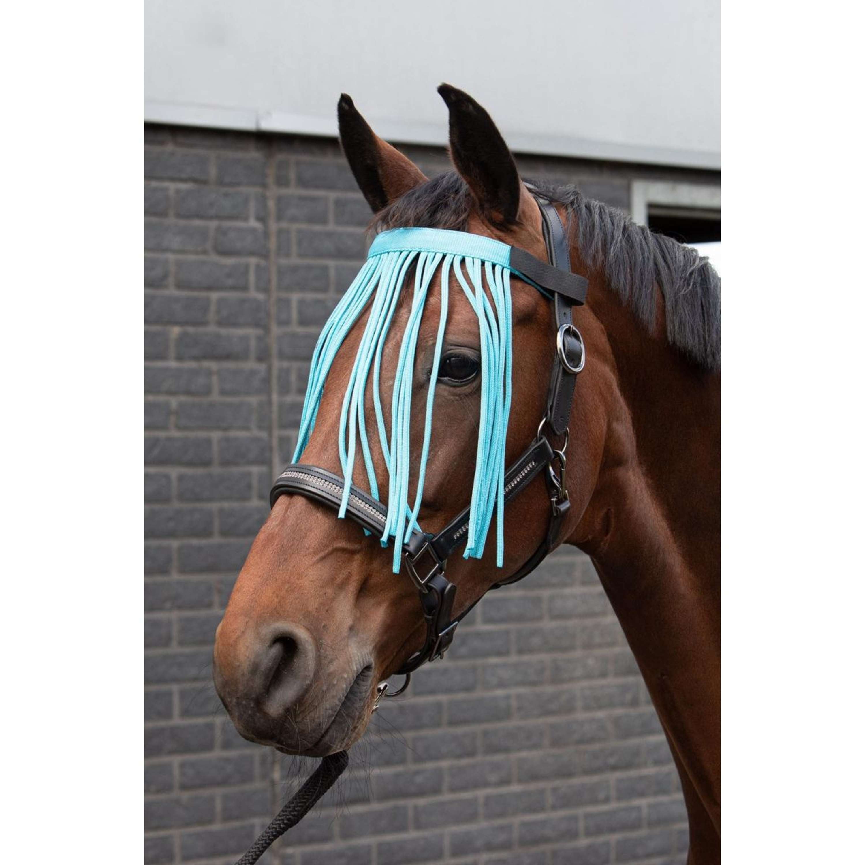 Harry's Horse Fly Fringe Colour Lightblue