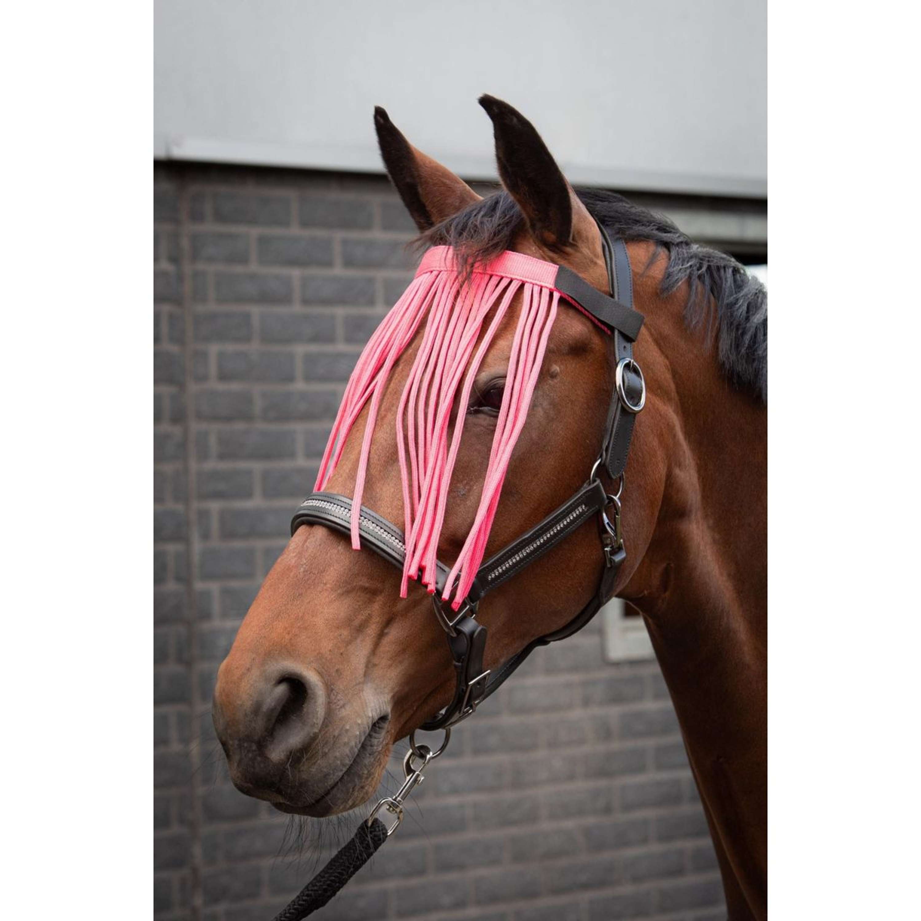 Harry's Horse Fly Fringe Colour Pink