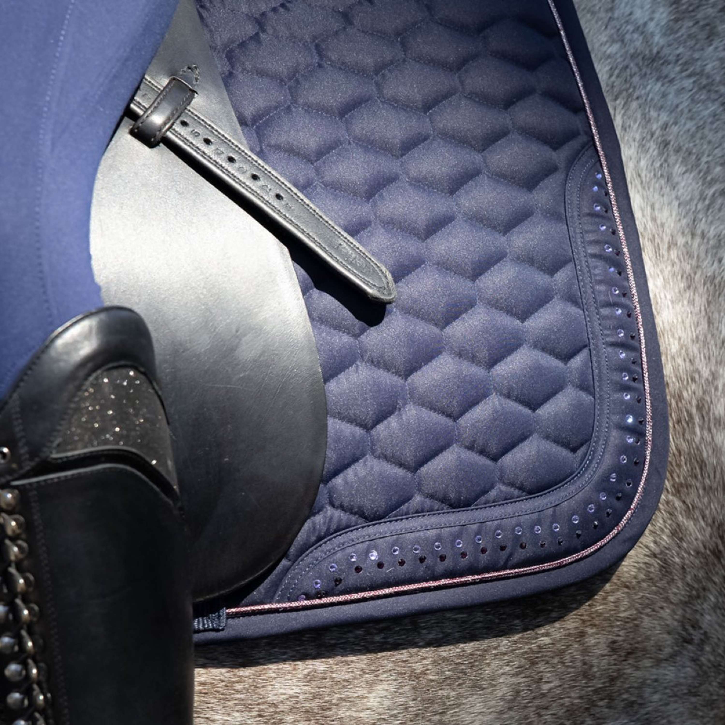 Harry's Horse Saddlepad Denici Cavalli Purple Passion Dressage Peacoat