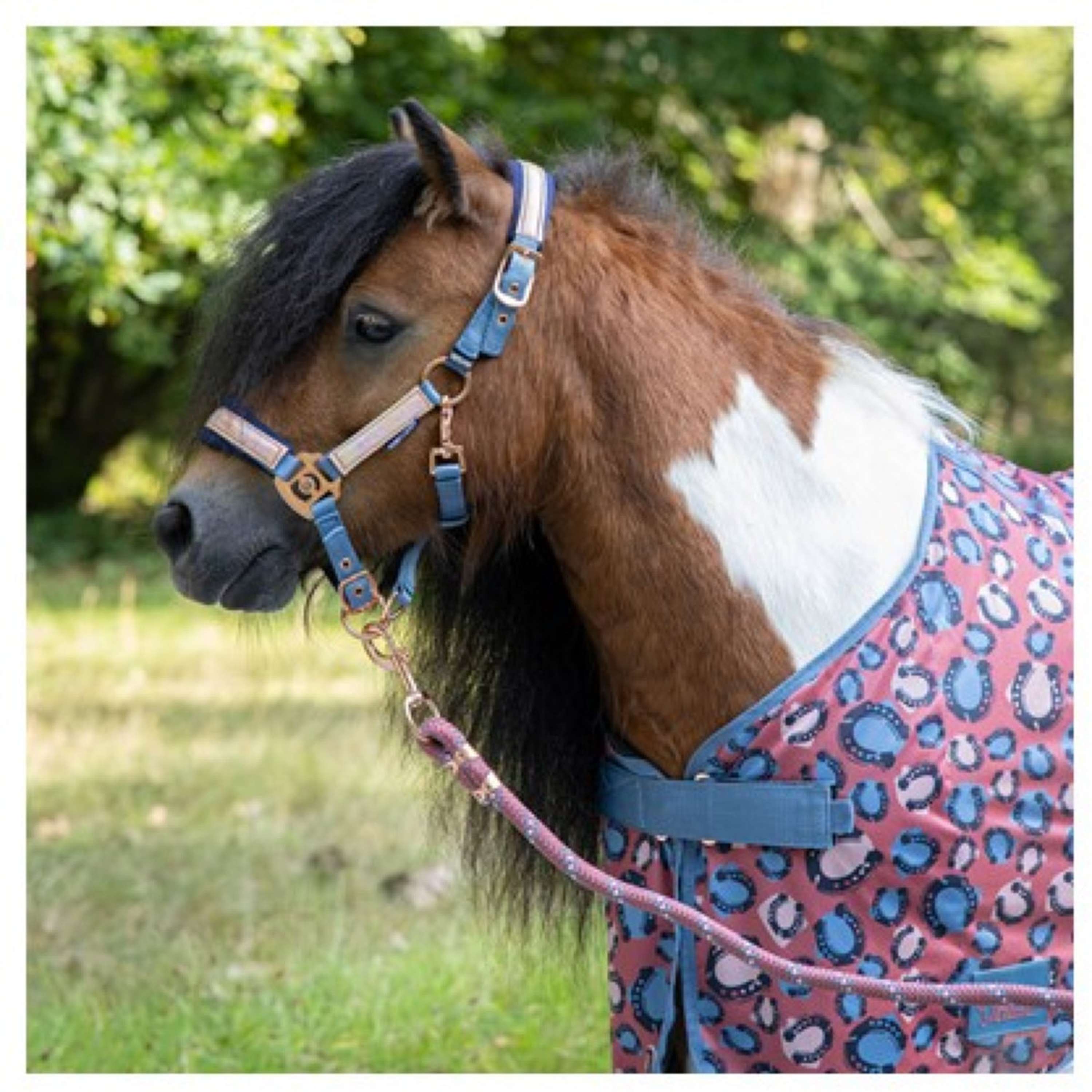 Harry's Horse Fly Rug Diva Mauvewood Mesh-Pro Mauvewood