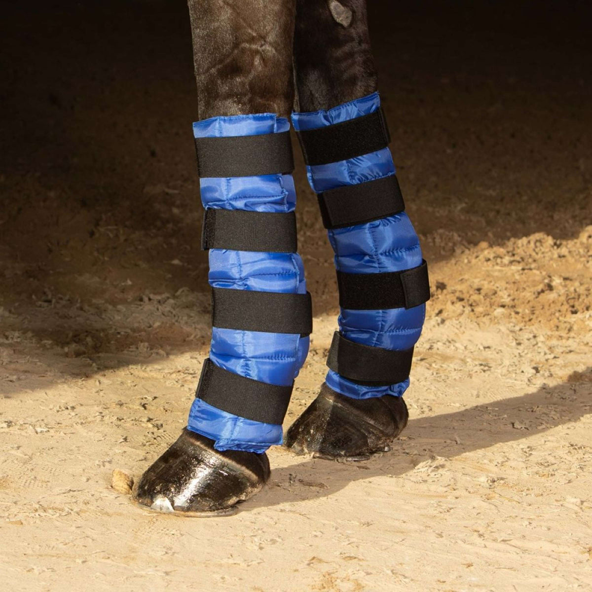 Harry's Horse Cold Wrap Blue