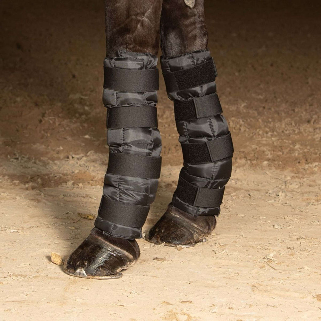 Harry's Horse Cold Wrap Black