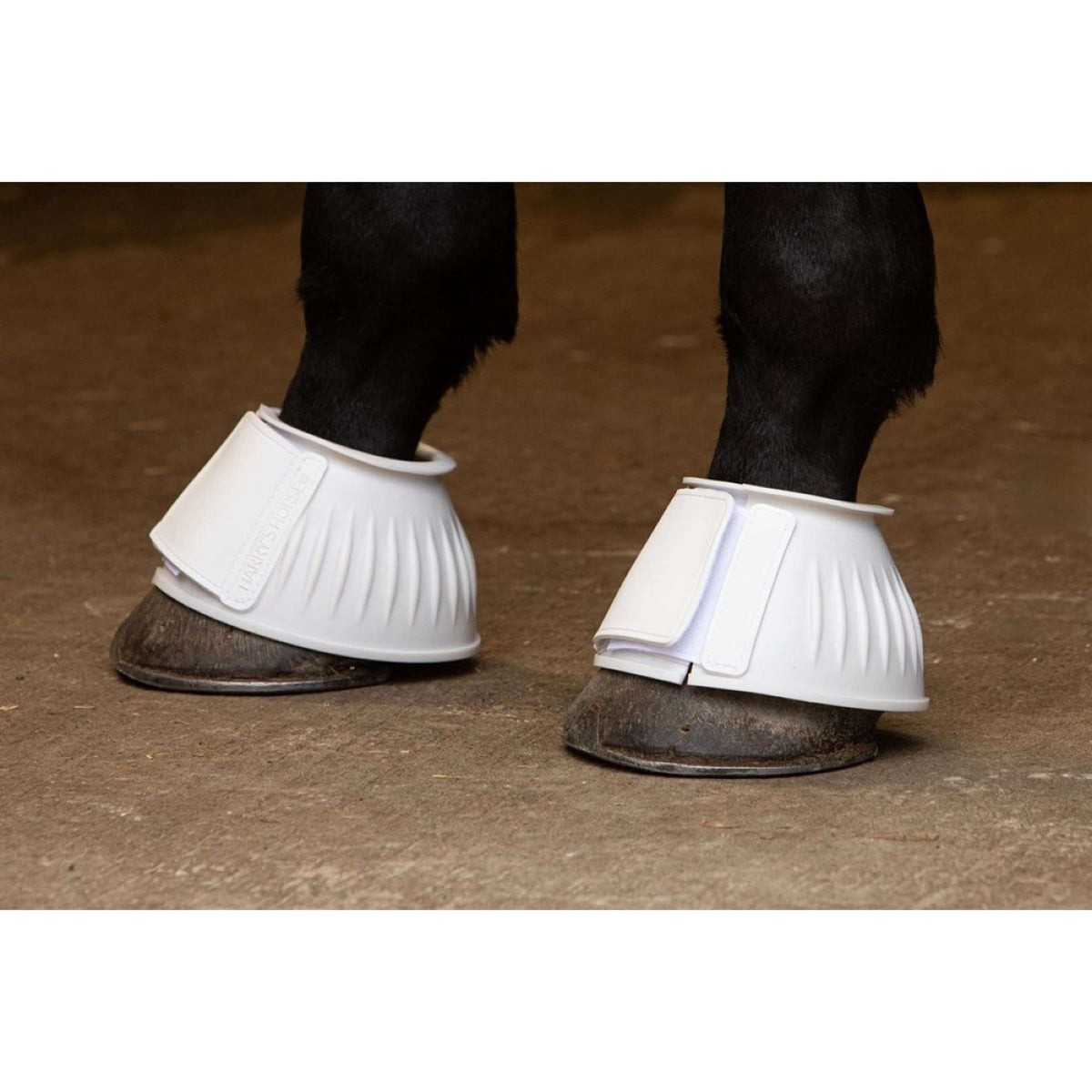 Harry's Horse Bell Boots TPE White