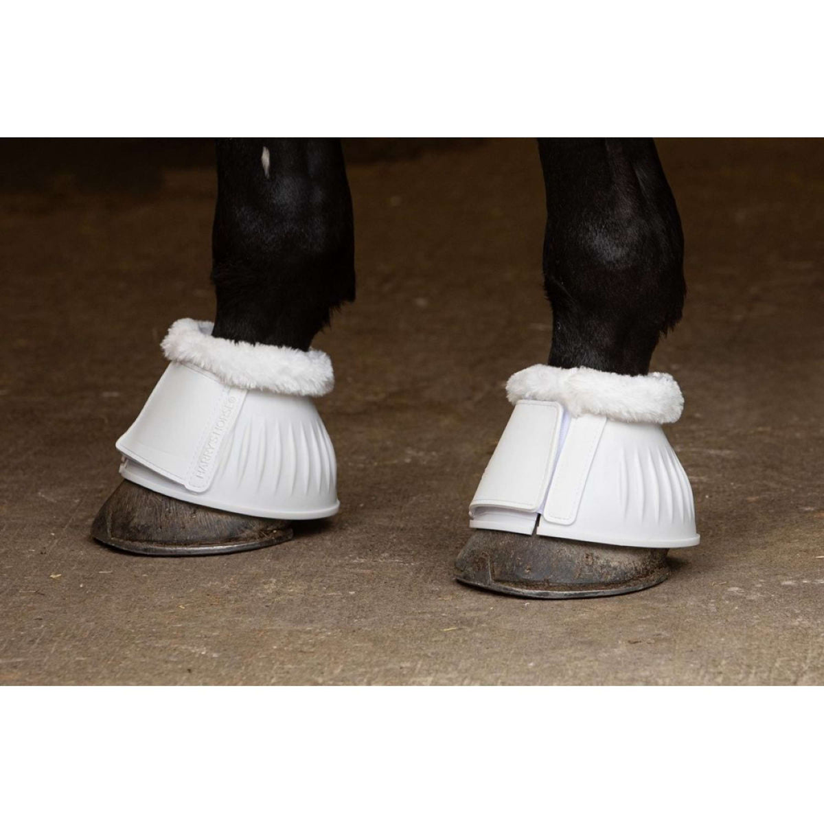 Harry's Horse Bell Boots TPE Vestan White