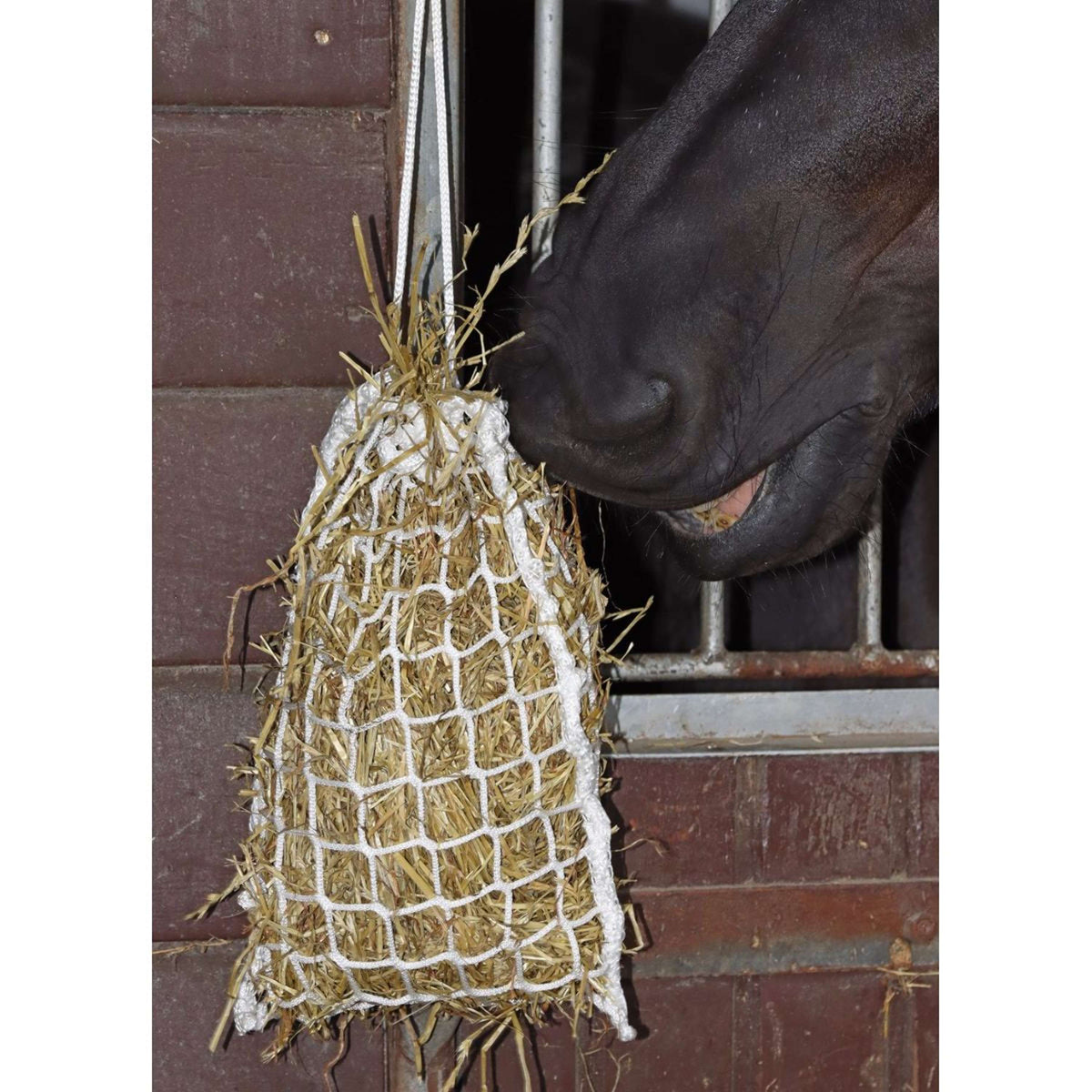 Harry's Horse Hay Net Slow Feeder Mini White