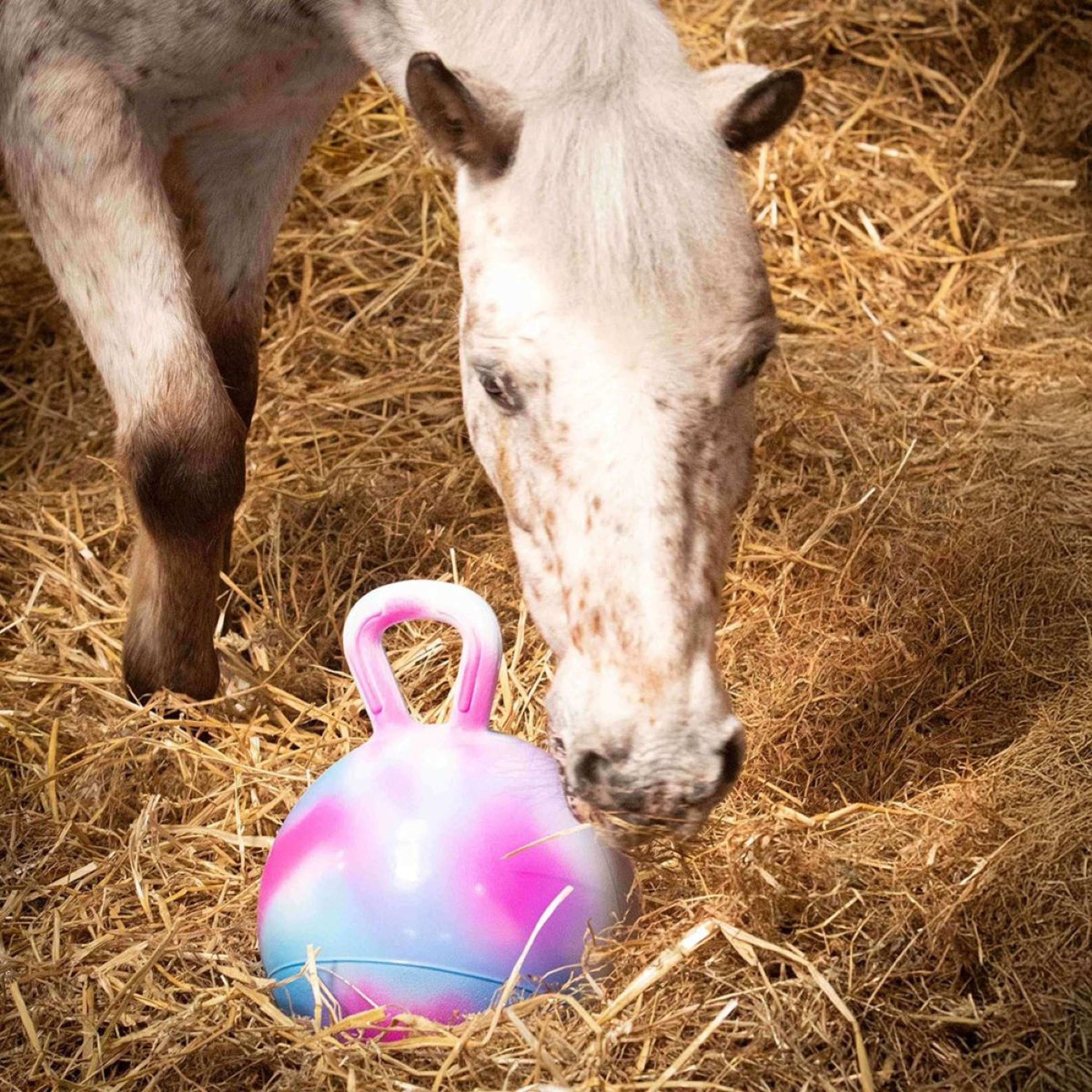 Harry's Horse Playball for horsess Assorti