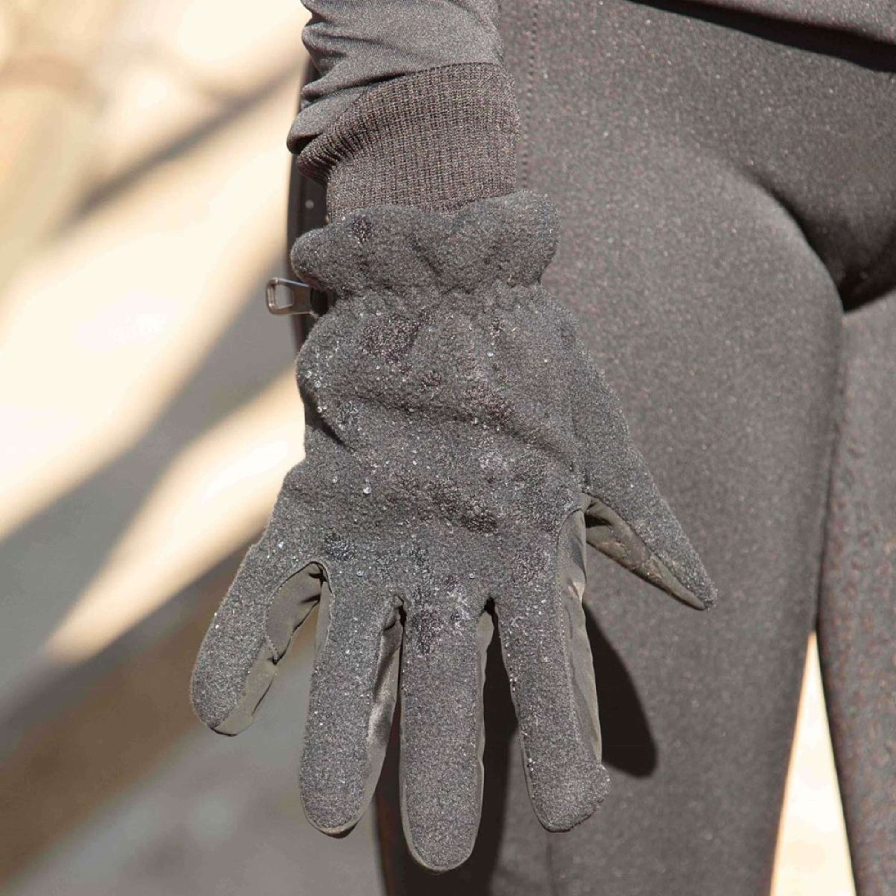Harry's Horse Riding Gloves Fleece Waterproof Hipora Black