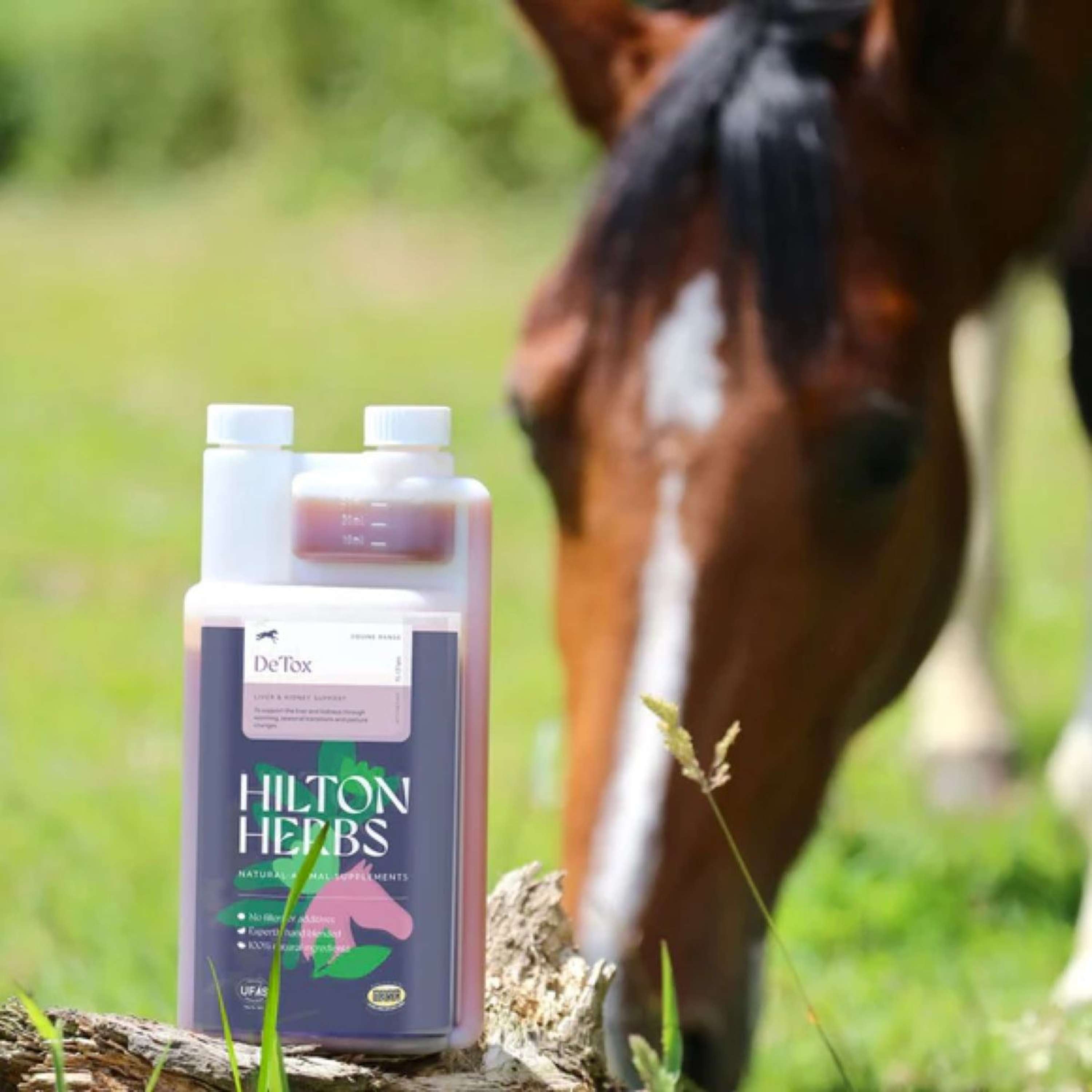 Hilton Herbs DeTox Gold