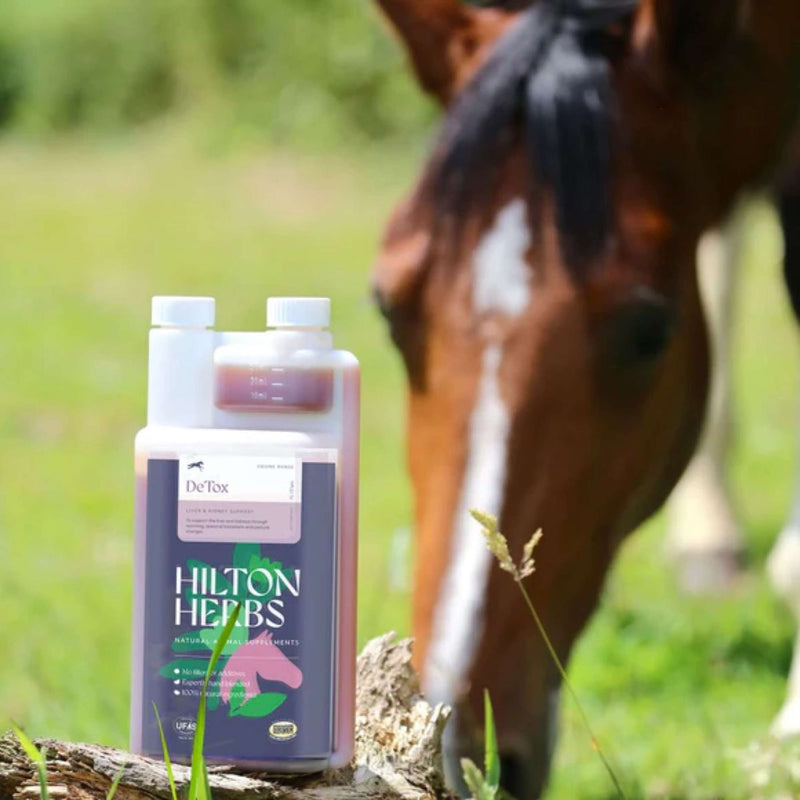 Hilton Herbs DeTox Gold