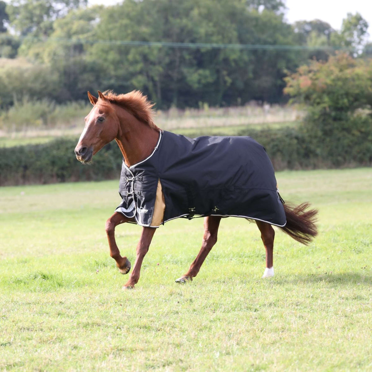 Highlander Plus Winter Rug Turnout 200g Black