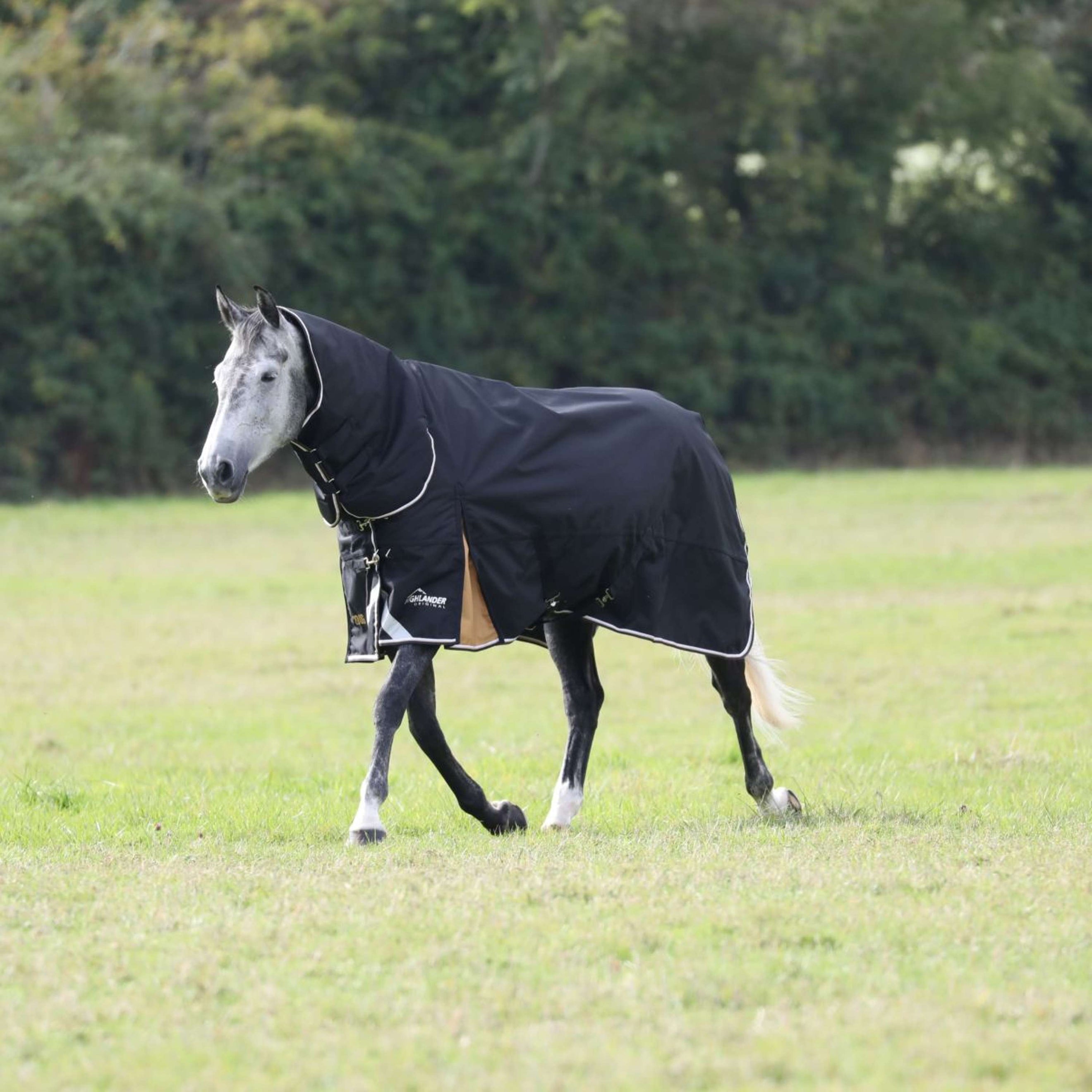 Highlander Plus Winter Rug Turnout 200g Combo Black