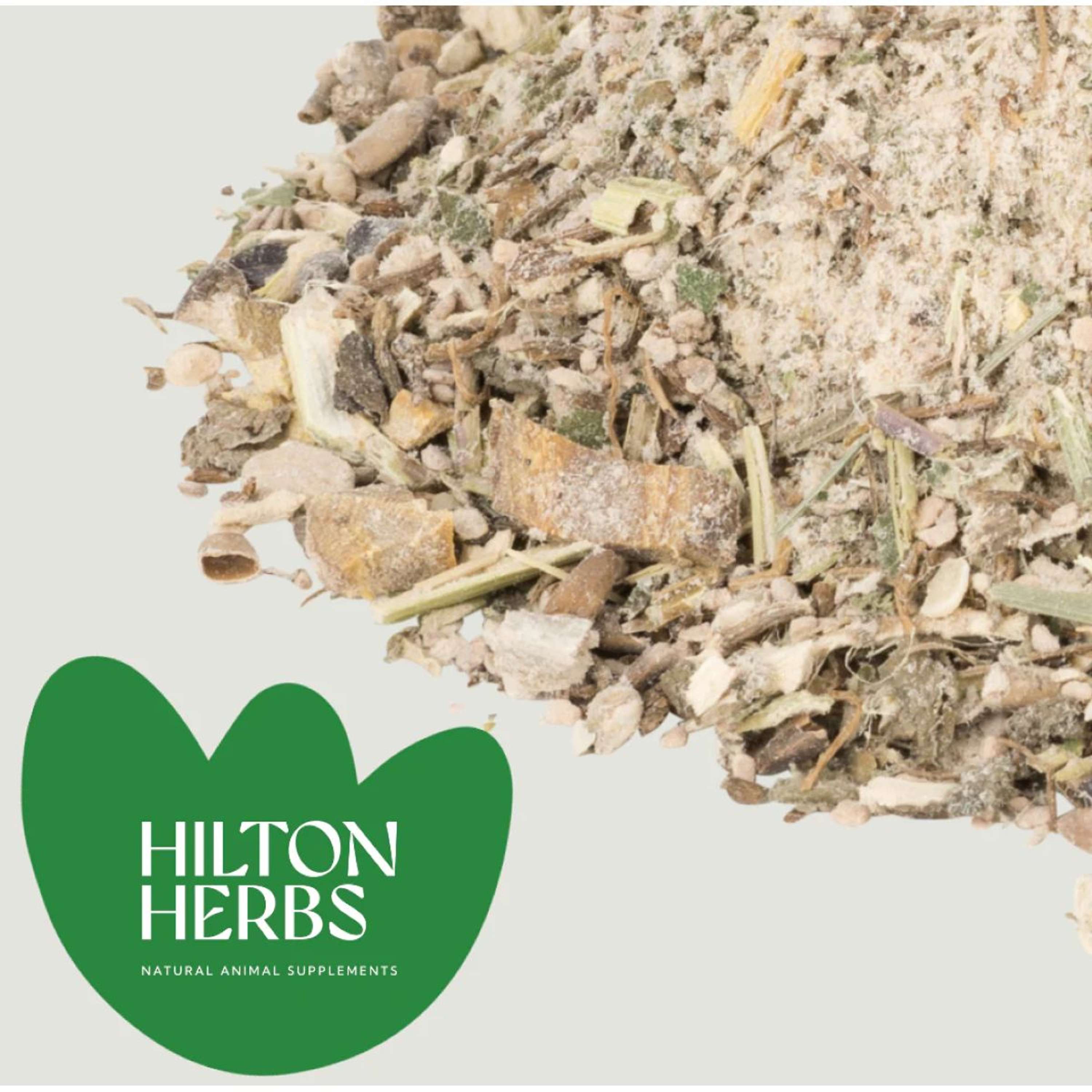 Hilton Herbs Digest Support