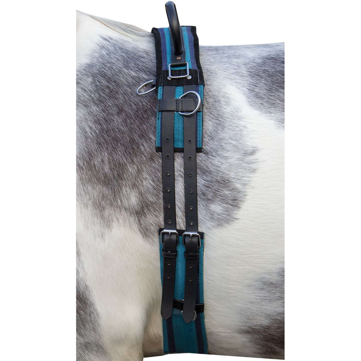 HKM Lunging Girth Canvas Whiteh Double Handgriff Navy