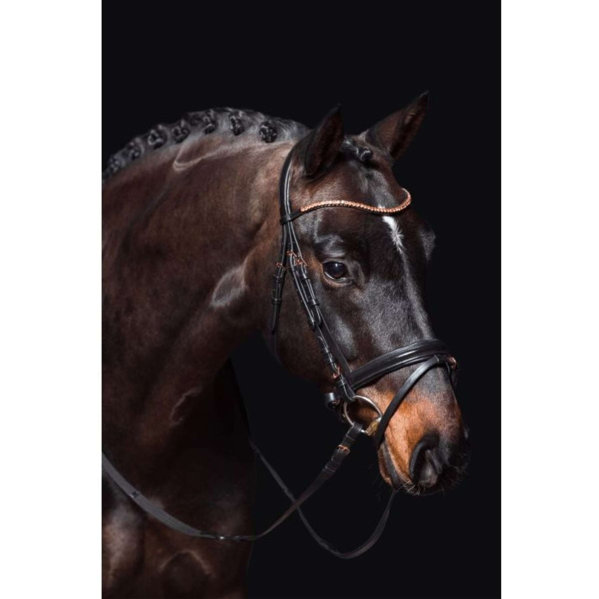 HKM Bridle Rosegold Glamour Black/Rosegold