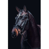 HKM Bridle Fleur Black