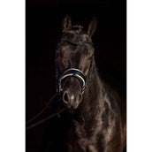 HKM Bridle Sofia Black/Lila