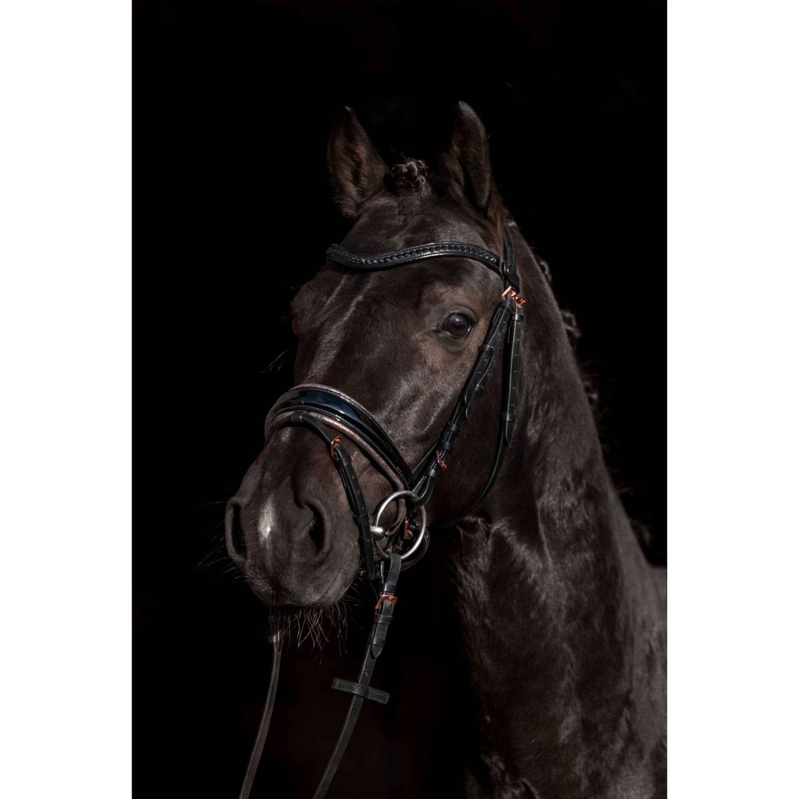 HKM Bridle Sofia Black/Rose gold