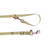 HKM Dog Leash Amitye Pistachio