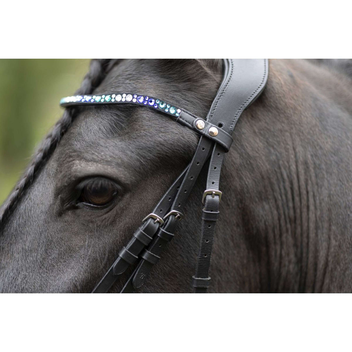 HKM Bridle Port Royal Black