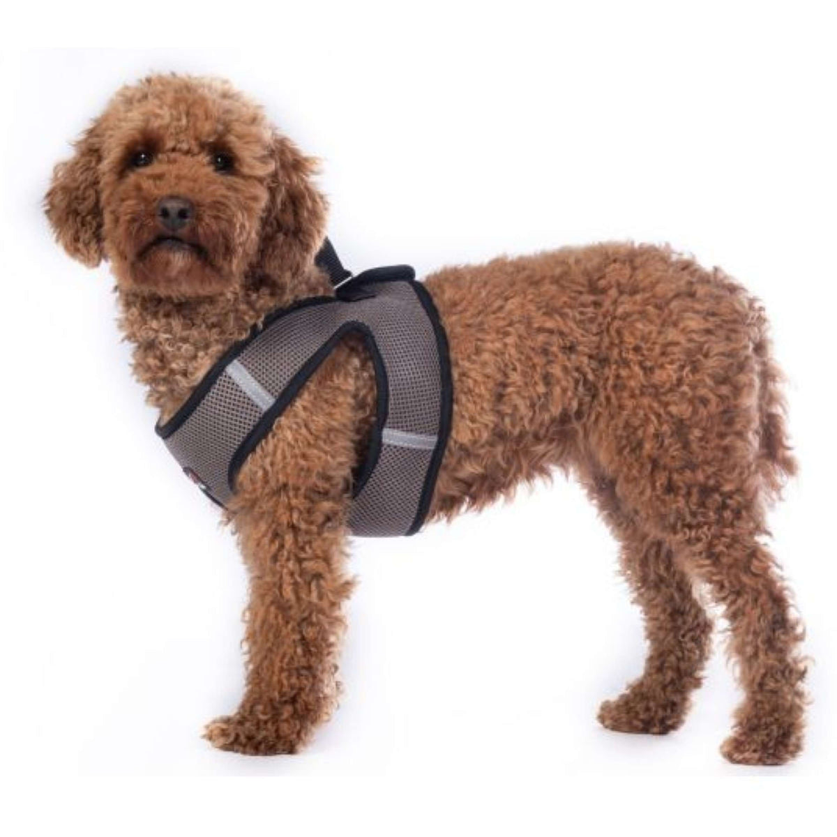 HKM Dog Harness Buddy Soft Stone Grey