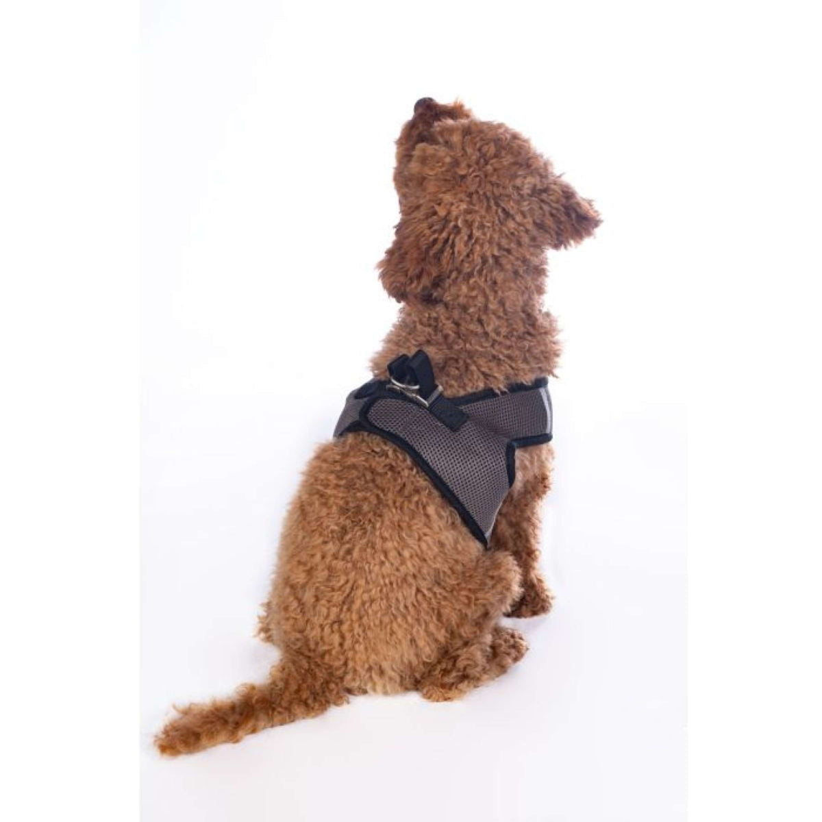 HKM Dog Harness Buddy Soft Stone Grey