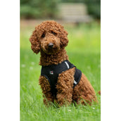 HKM Dog Harness Buddy Soft Black