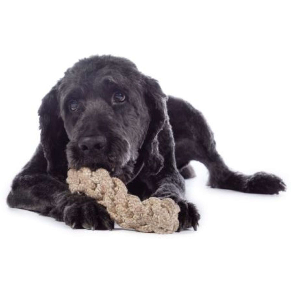 HKM Dog Toys Buddy Bone Nature