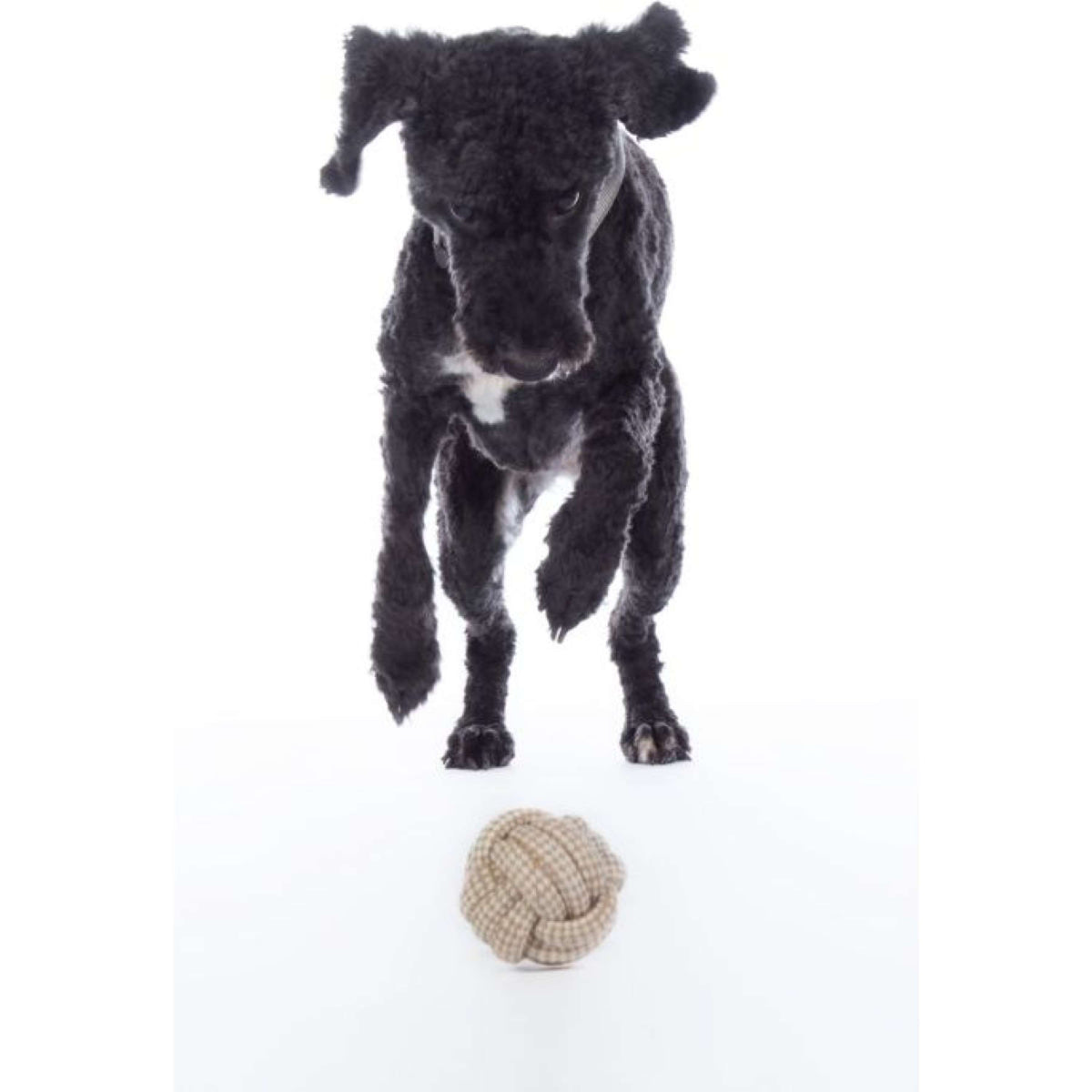 HKM Dog Toys Buddy Ball Nature