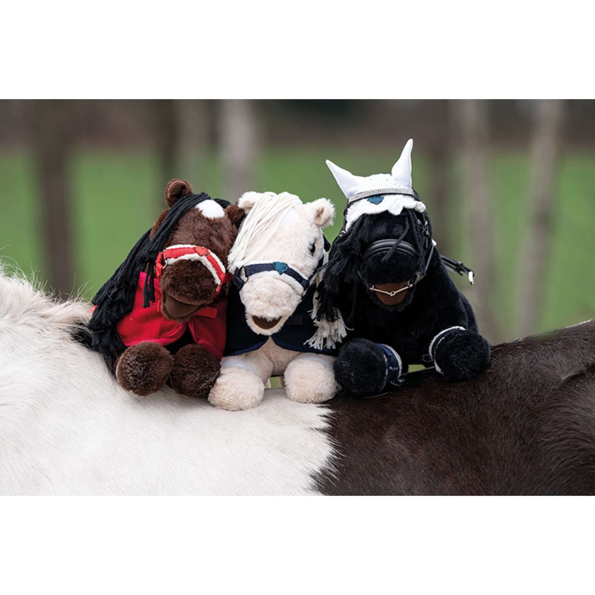 HKM Cuddle Pony Black