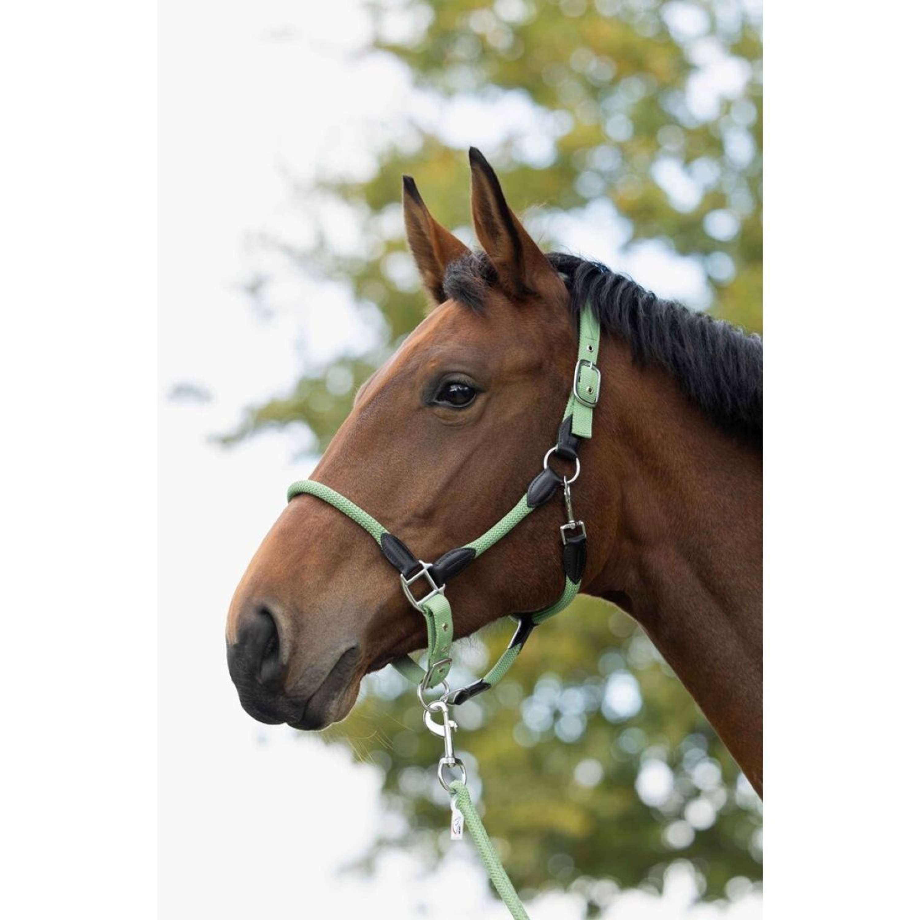 HKM Halter Carlotta Jade