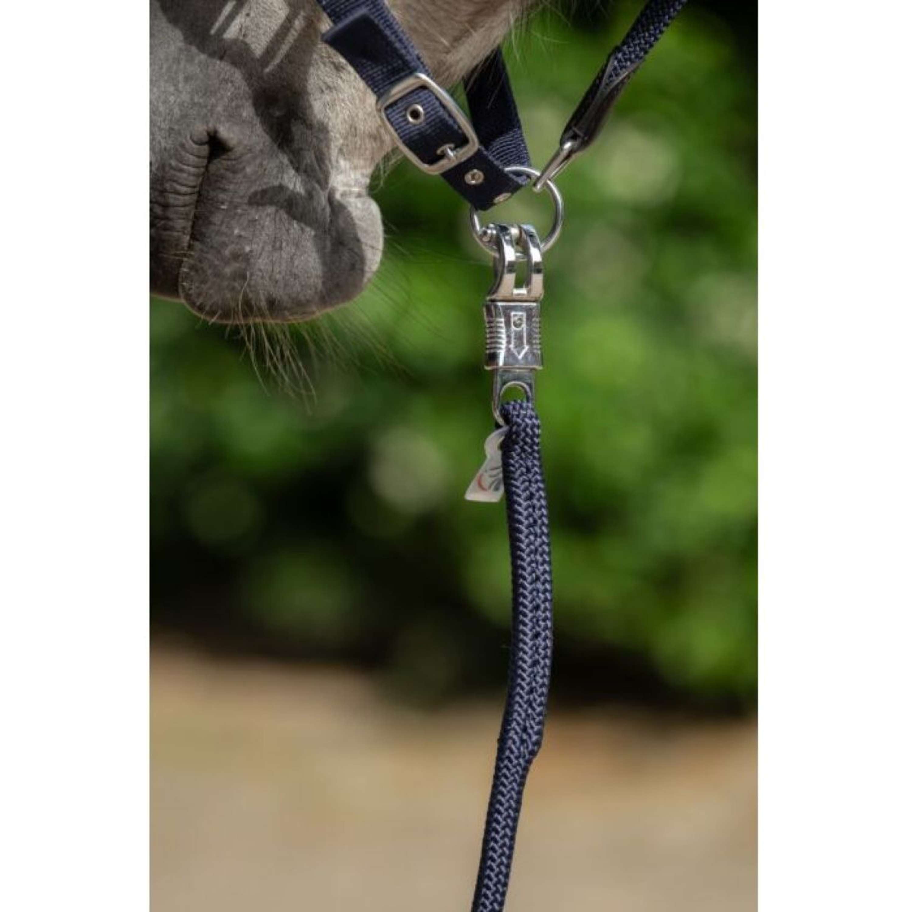 HKM Lead Rope Carlotta Panic Snap Dark blue