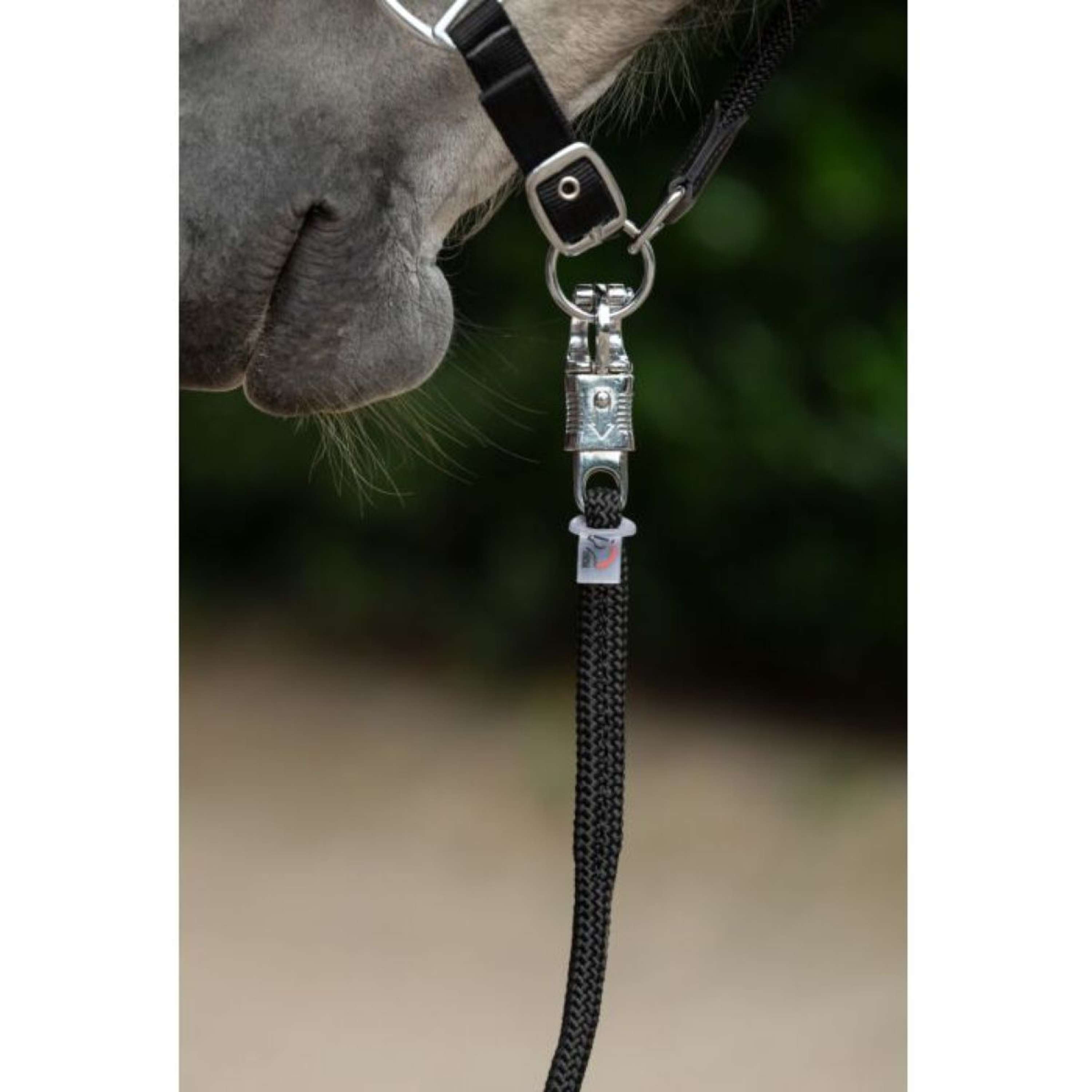 HKM Lead Rope Carlotta Panic Snap Black