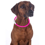 HKM Collar LED Pink