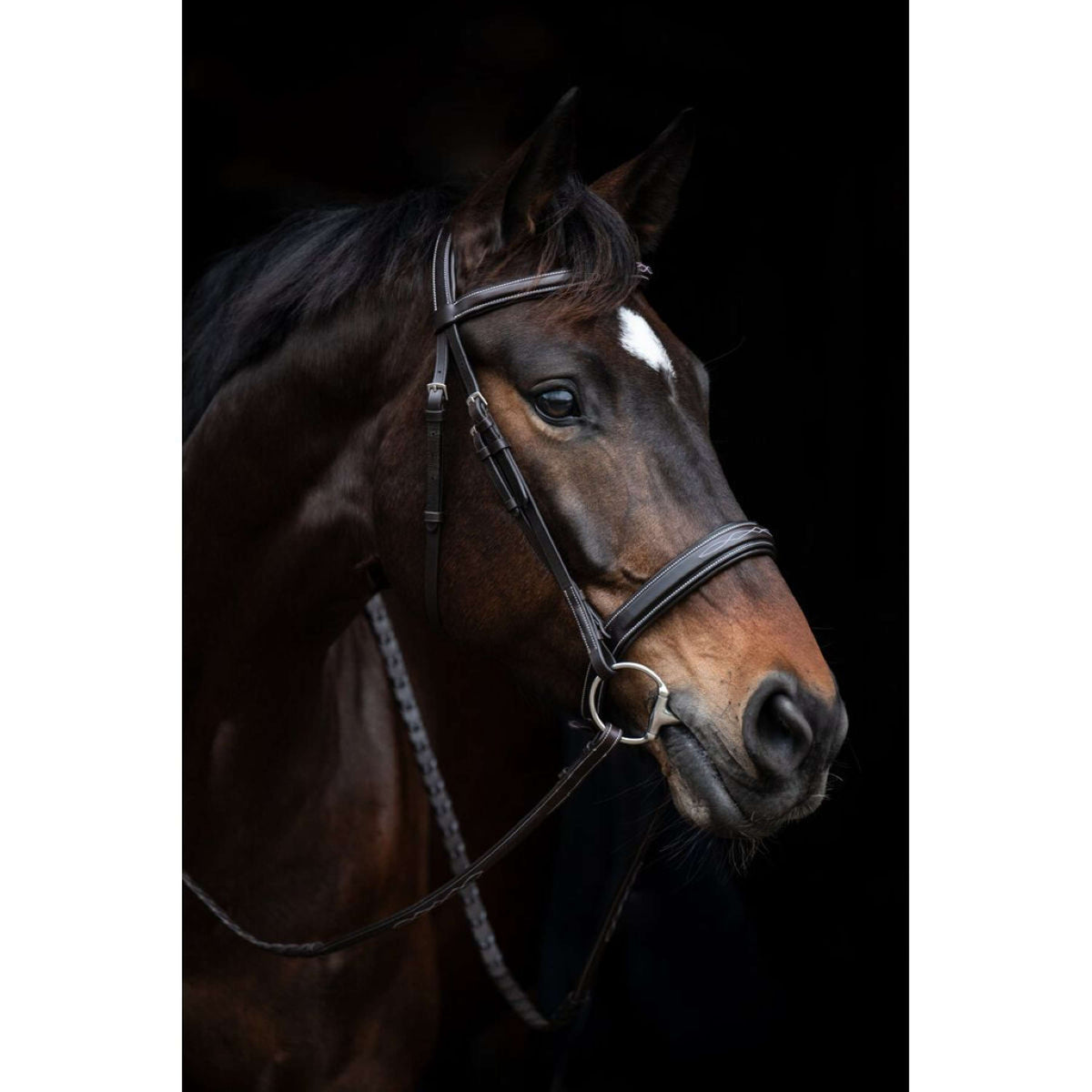 HKM Bridle Hunter 2 Darkbrown