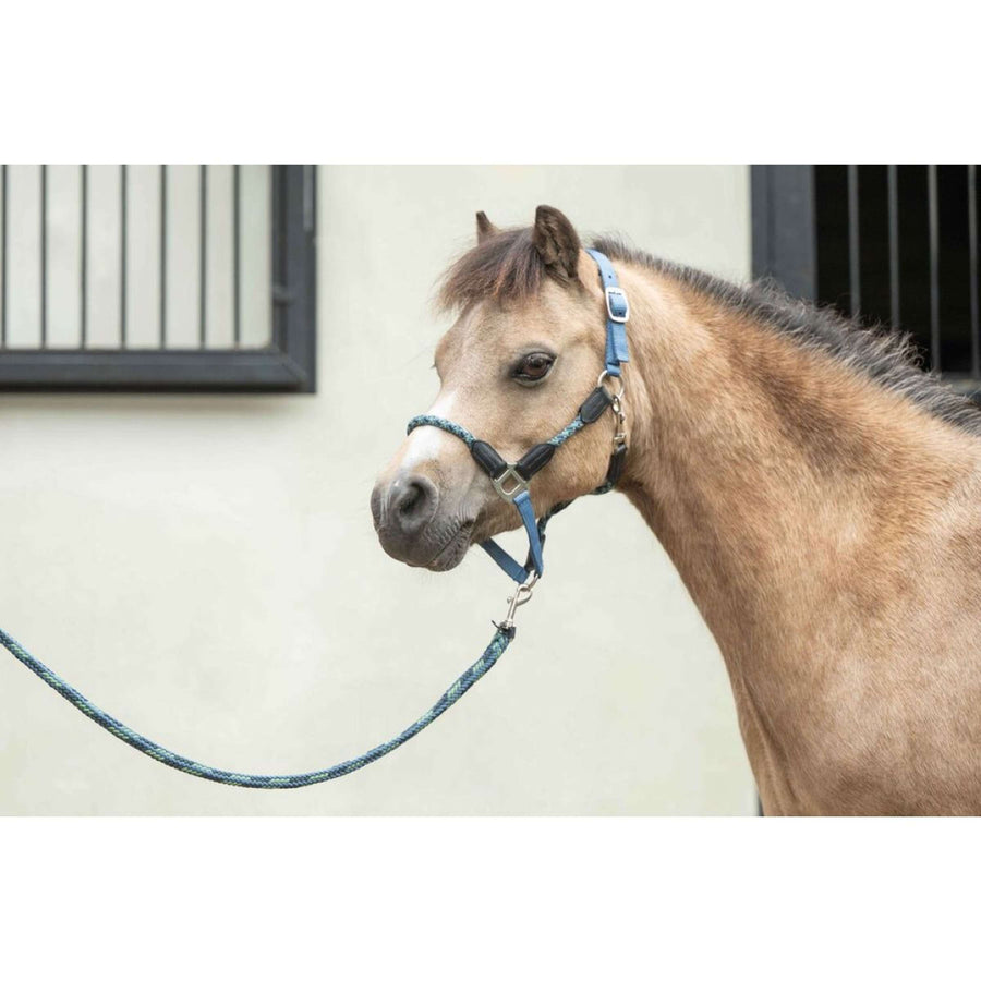 HKM Halter Nele Smoke Blue