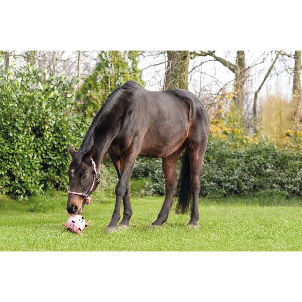HKM Ball Fun Pink
