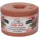 HKM Horse Lick Lolly Lick Rosehip